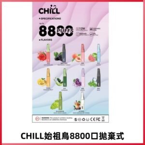 CHILL始祖鳥電子煙鴨嘴獸拋棄式8800口 一次性8ml大容量煙油