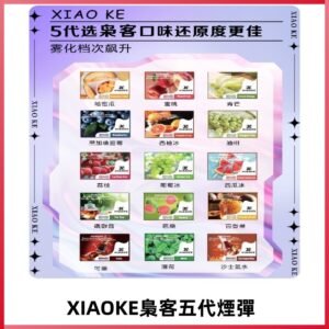 梟客五代煙彈|XIAOKE可替換式電子煙|通用Relx6代|ILIA五代主機