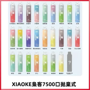 梟客XIAOKE|7500口可發光拋棄式電子煙 跑馬燈一次性