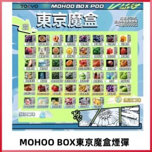 TOKYO MOHOO BOX東京魔盒煙彈可替換式電子煙|日本熱銷品牌